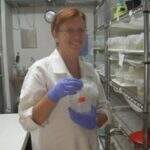 Margareth Capurro Cientista criadora do mosquito transgênico