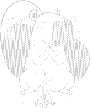 Capivara na fogueira